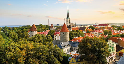 The turrets of Tallinn The turrets of Tallinn