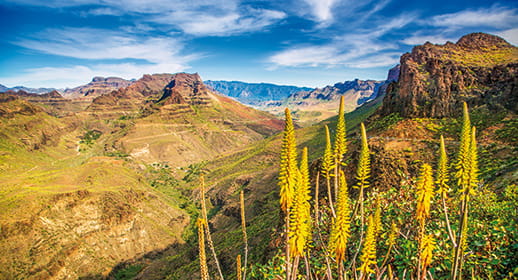 Gran Canaria Gran Canaria