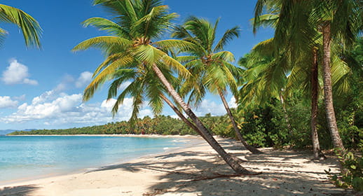 The tropical beaches of Martinique