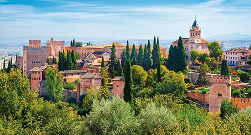 The Alhambra of Granada