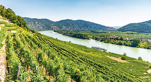 The Wachau Valley The Wachau Valley