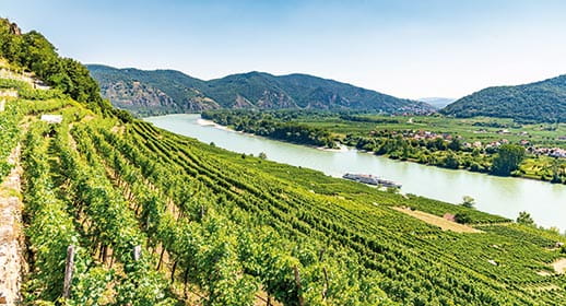 A view over the vineyards of the Wachau Valley, Austria