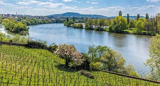The Main RIver, Germany The Main RIver, Germany