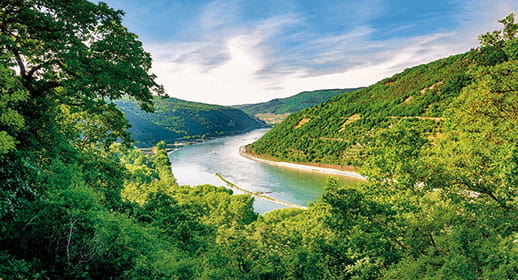 The scenic Rhine Gorge