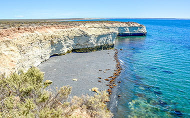 Sea lions on the beach, on the coastline of Puerto Madryn, Argentina
