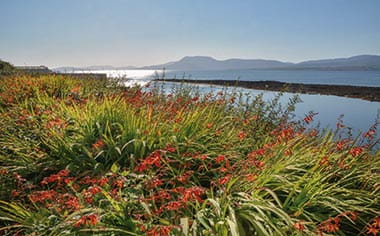 Bantry Bay, Ireland