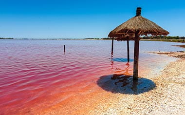 The pink coloured waters of Lac Rose near Dakar, Senegal