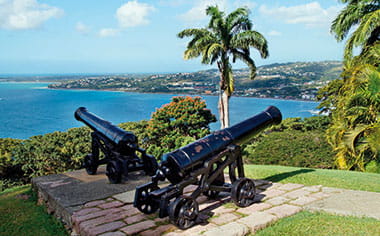 Canons in Scarborough, Tobago
