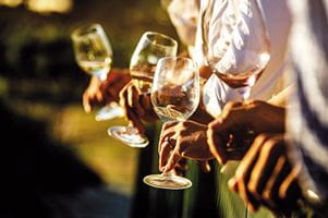 People holding glasses of wine