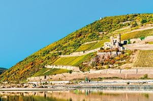 Ehrenfels Castle along the Rhine Gorge