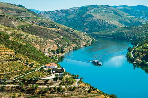Terraced vineyards line the Douro