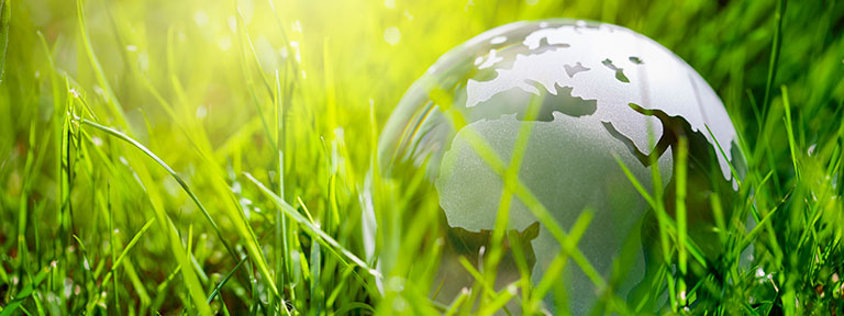 A glass globe sitting in grass