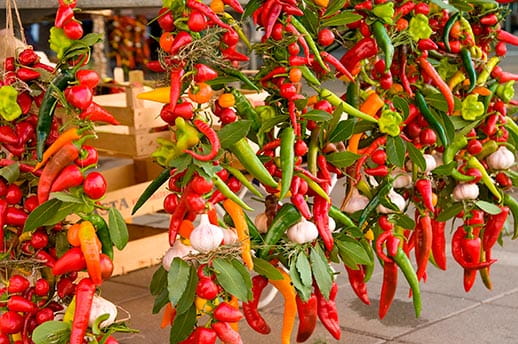 Mixed peppers and garlic hung on a market stall