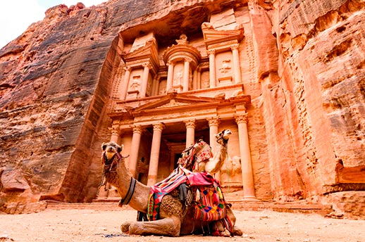 Two camels in front of Al Khazneh (The Treasury) in Petra