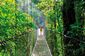 Explore the Arenal Volcano National Park in Costa Rica