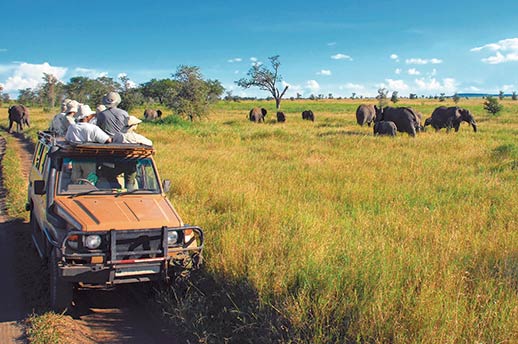 A jeep of tourists watching elephants in the Serengeti, Tanzania