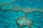 The Great Barrier Reef